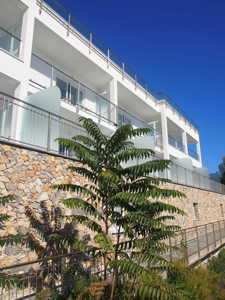 Best Western Hotel Acqua Novella Spotorno Eksteriør bilde
