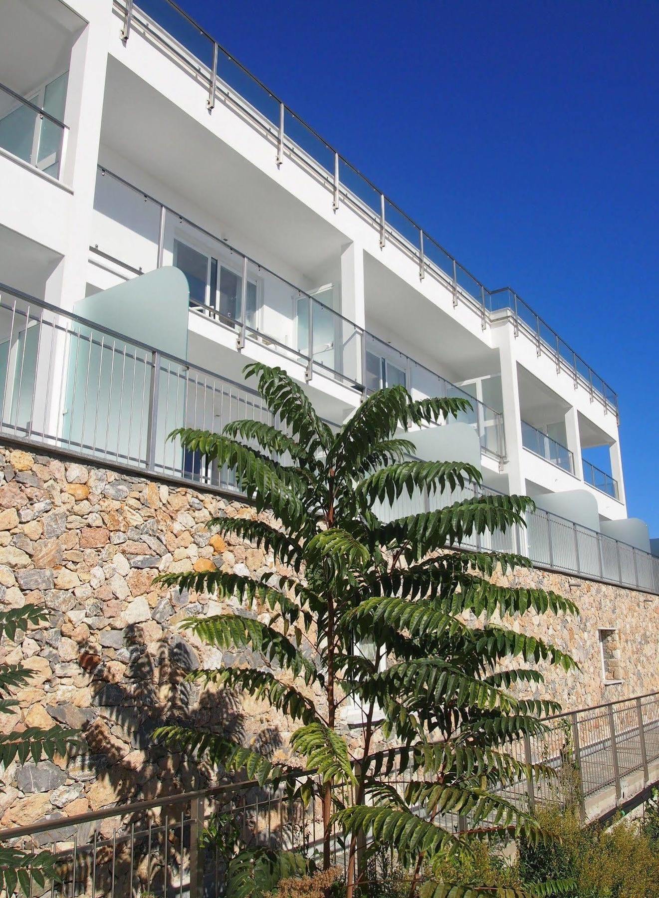 Best Western Hotel Acqua Novella Spotorno Eksteriør bilde